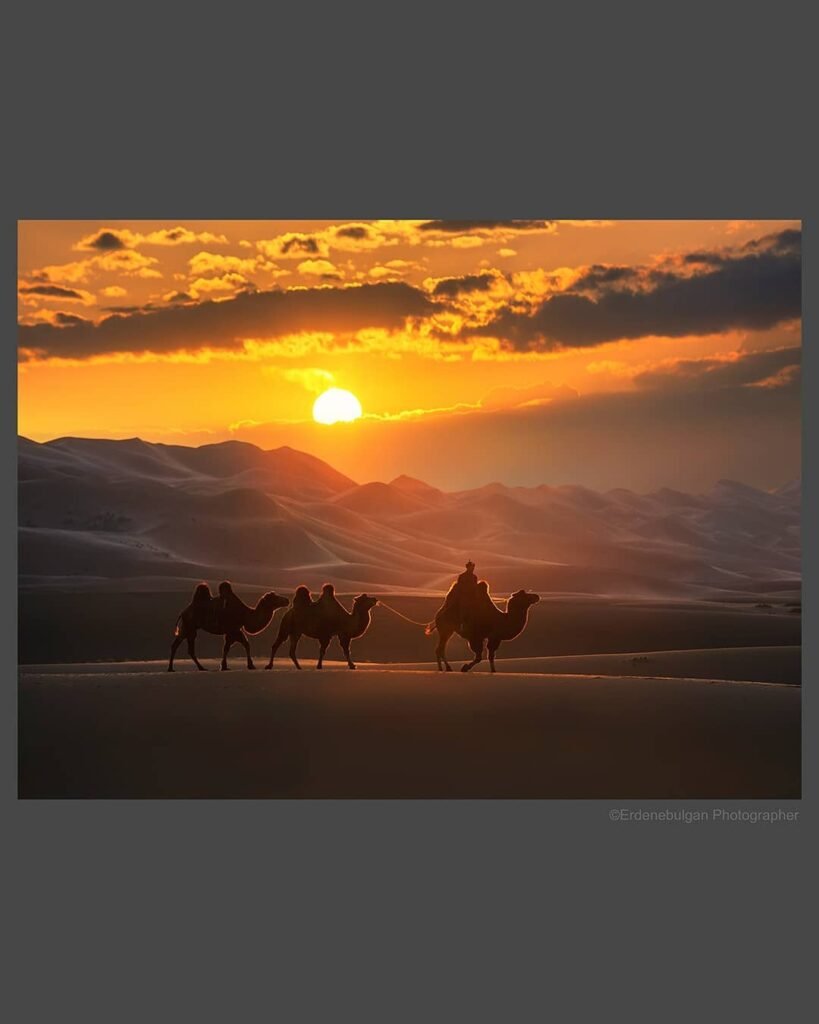Gobi desert Mongolia